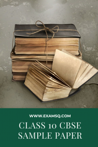 Examsq Class 10 Sample Paper